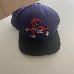 Mitchell & Ness Purple Red NBA Toronto Raptors Hardwood Classic Snapback Hat Cap